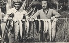 Campeonato de pesca Campeonato de pesca
