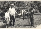Campeonato de pesca Campeonato de pesca