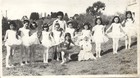 Grupo de ballet de Lago Ranco