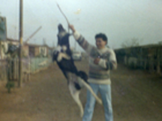 Humberto Cádiz Humberto Cádiz