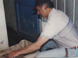 Limpieza de pescado Limpieza de pescado