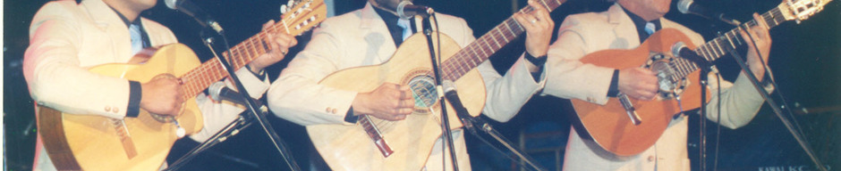 Conjunto musical Los Sauces Conjunto musical Los Sauces