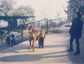 Paseo familiar en el Zoológico Metropolitano