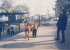 Paseo familiar en el Zoológico Metropolitano