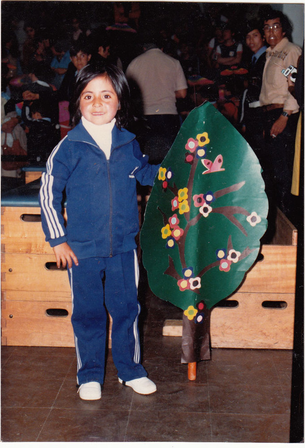 Presentación de gimnasia en el Coliseo de Valdivia