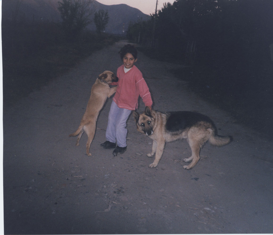 Jesenia y las mascotas Jesenia y las mascotas