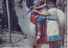 Mis hijas y la llama Mis hijas y la llama