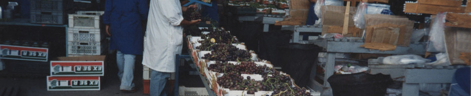 Envasado de uvas