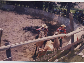Pichanga en la medialuna Pichanga en la medialuna