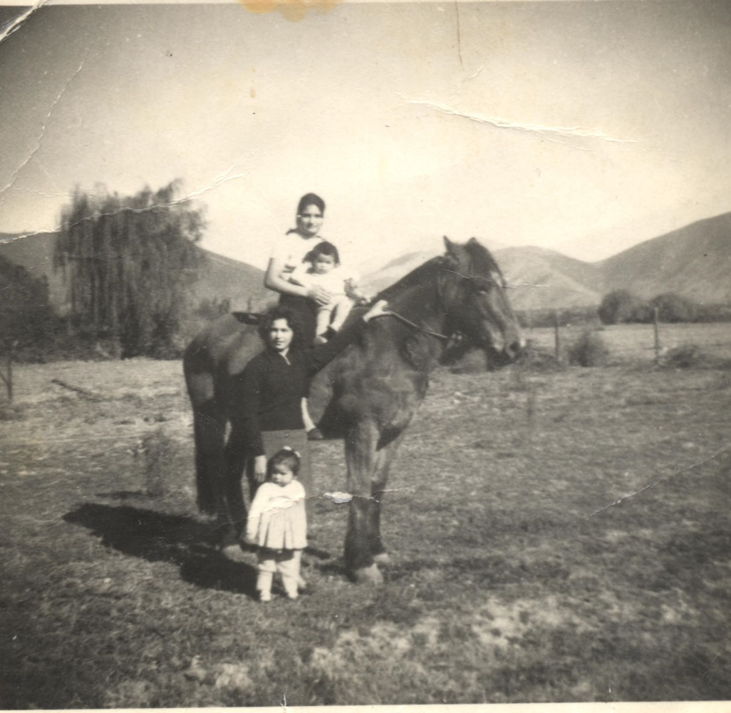 En el campo En el campo