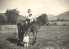 En el campo En el campo