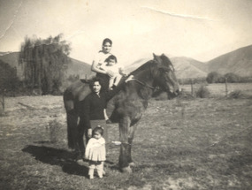 En el campo