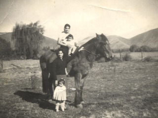 En el campo