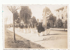 Desfile Escuela Normal