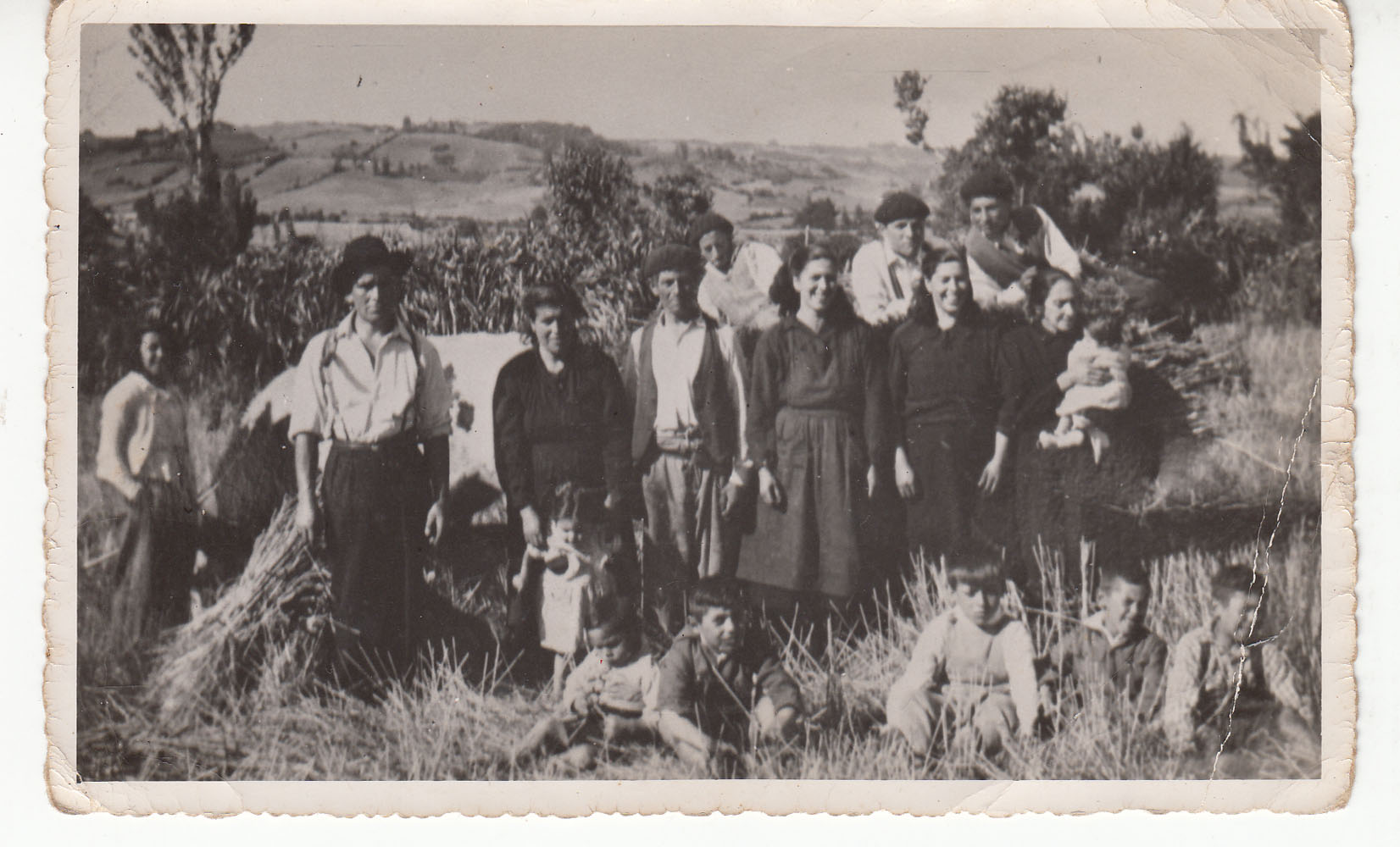 Familia chilota en cosecha de trigo