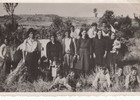 Familia chilota en cosecha de trigo Familia chilota en cosecha de trigo