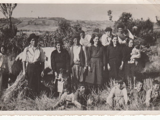 Familia chilota en cosecha de trigo