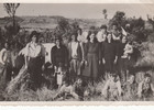 Familia chilota en cosecha de trigo