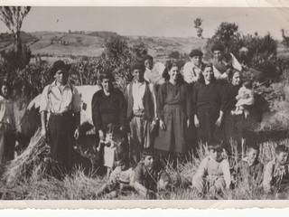 Familia chilota en cosecha de trigo Familia chilota en cosecha de trigo