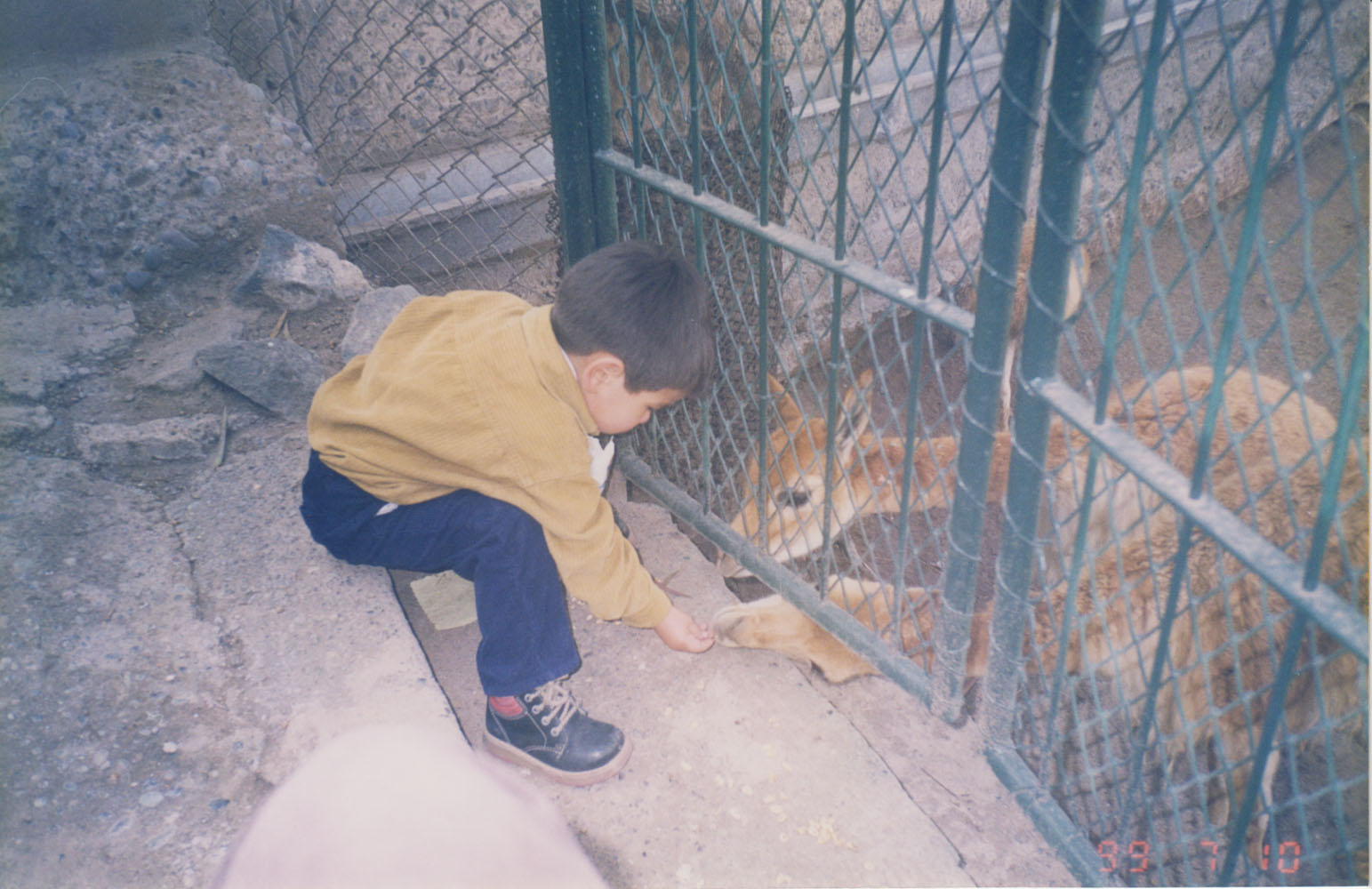 Paseo al Zoológico Metropolitano Paseo al Zoológico Metropolitano