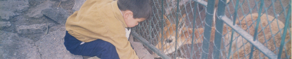 Paseo al Zoológico Metropolitano