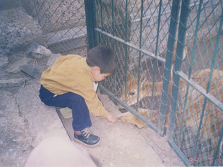 Paseo al Zoológico Metropolitano