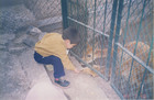 Paseo al Zoológico Metropolitano