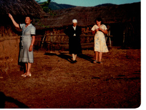 Visitas en la Canela Visitas en la Canela