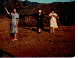 Visitas en la Canela Visitas en la Canela