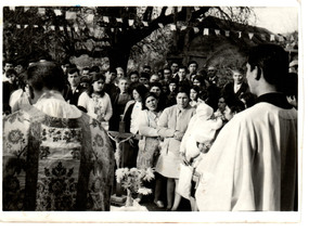 Visitas en la Canela Visitas en la Canela