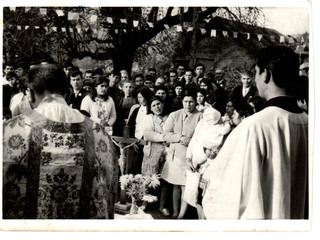 Visitas en la Canela Visitas en la Canela