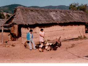 Visitas en la Canela