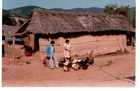 Visitas en la Canela Visitas en la Canela