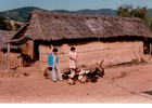 Visitas en la Canela Visitas en la Canela