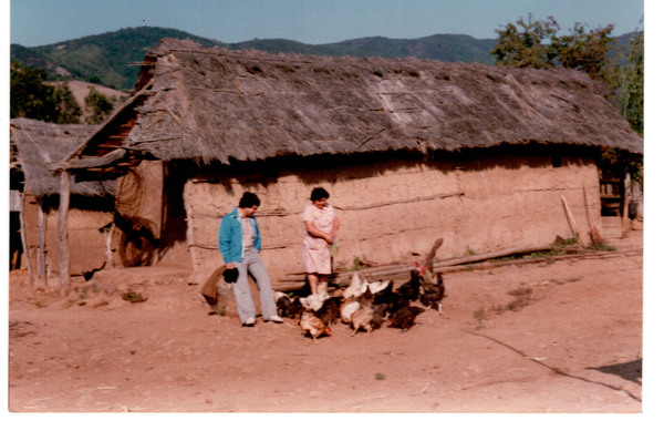 Visitas en la Canela