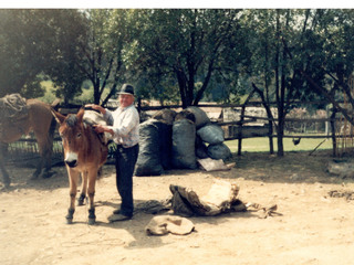 Visitas en la Canela Visitas en la Canela