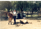 Visitas en la Canela Visitas en la Canela
