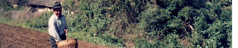 Visitas en la Canela Visitas en la Canela