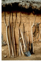 Visitas en la Canela Visitas en la Canela