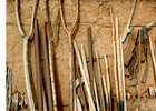 Visitas en la Canela Visitas en la Canela