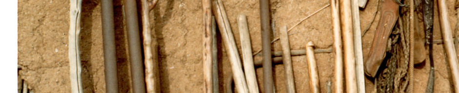 Visitas en la Canela Visitas en la Canela