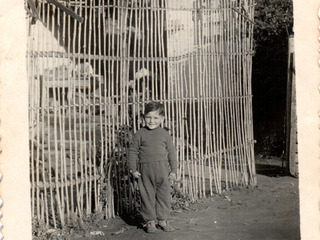 Pedro Vera Donoso Pedro Vera Donoso