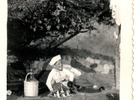 En la bajadita del chorro de Quilleco En la bajadita del chorro de Quilleco