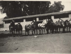 Caballos para la trilla