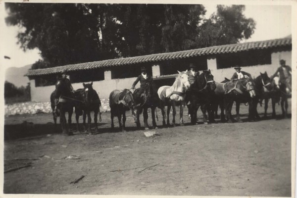 Caballos para la trilla