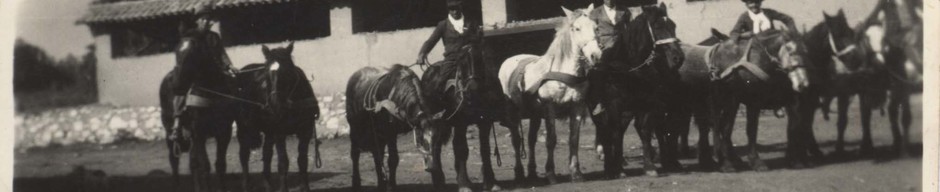 Caballos para la trilla