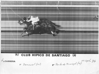 Club Hípico Club Hípico