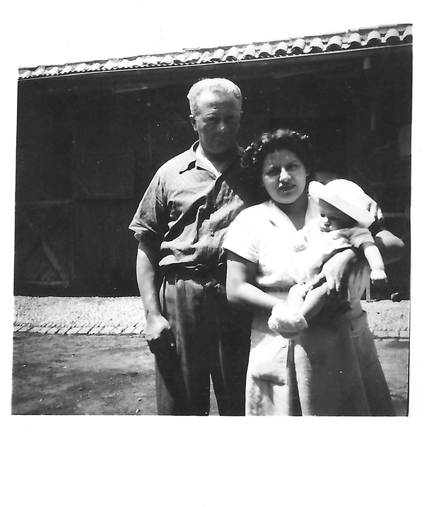 Familia hípica Familia hípica