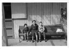 Primos en la caballeriza Primos en la caballeriza