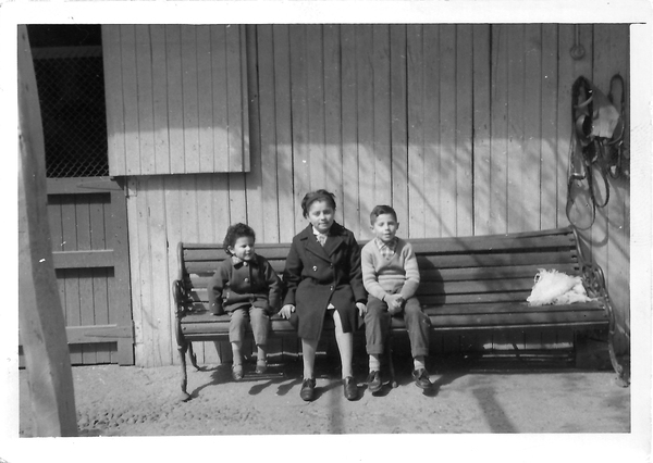 Primos en la caballeriza Primos en la caballeriza